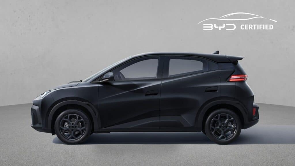 BYD DOLPHIN SURF COMFORT